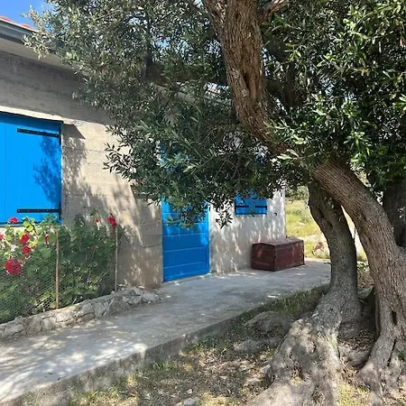 Samica - Villa Kornati