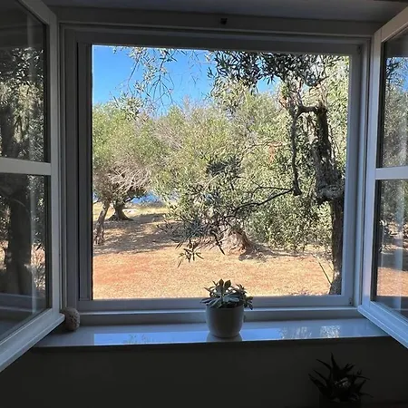 Villa Samica - Kornati