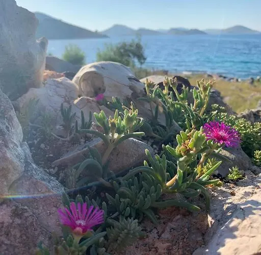 Samica - 别墅 Kornati