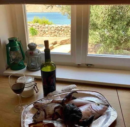 Samica - 别墅 Kornati