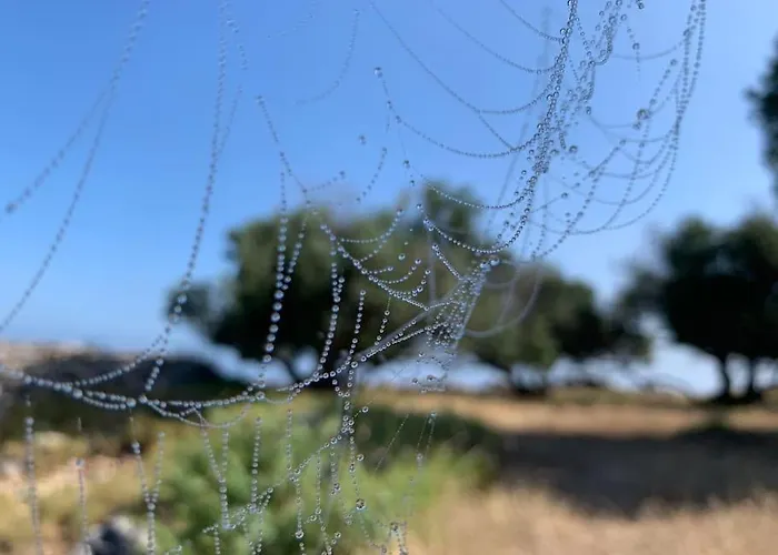 Samica - 别墅 Kornati